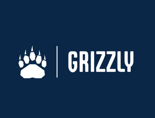 Why We Founded Grizzly